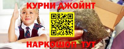 спиды Дубна