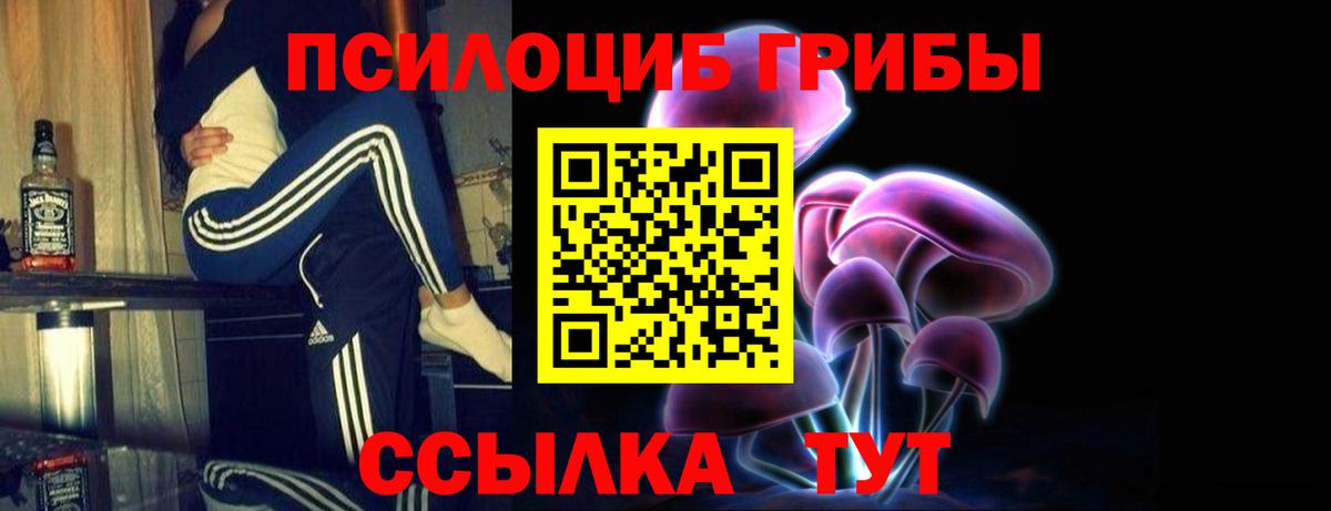 Галлюциногенные грибы Magic Shrooms  Псилоцибиновые грибы прущие грибы  Вход с VPN  закладки  Медногорск 